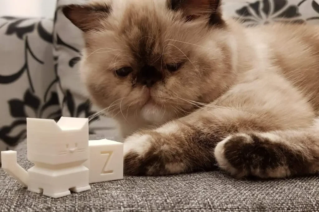 7. Cali Cat: گربه‌ی دوست‌داشتنیِ کالیبراسیون پرینتر سه بعدی